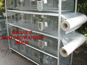 SZYLEX breeding chinchillas feed fodder cages of chinchillas in Poland 09